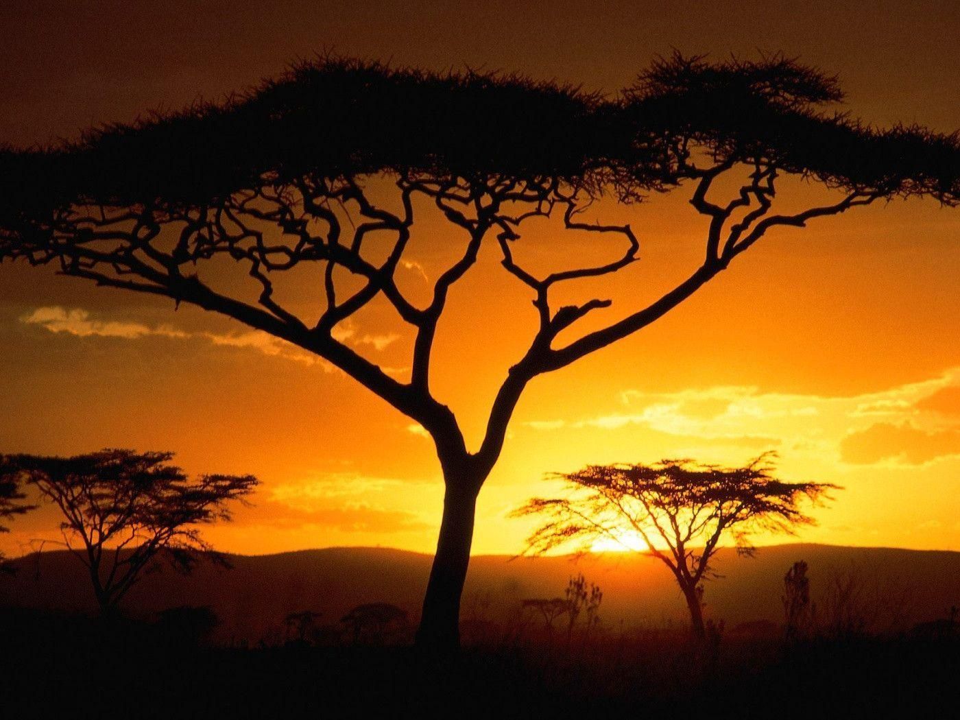 African Sunset Wallpapers Wallpaper Cave