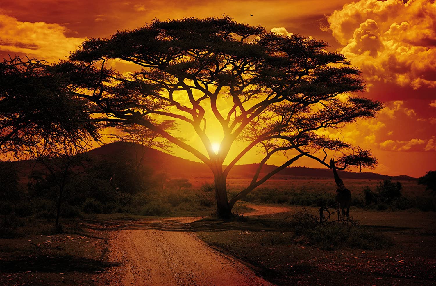 African Sunset Wallpapers Wallpaper Cave