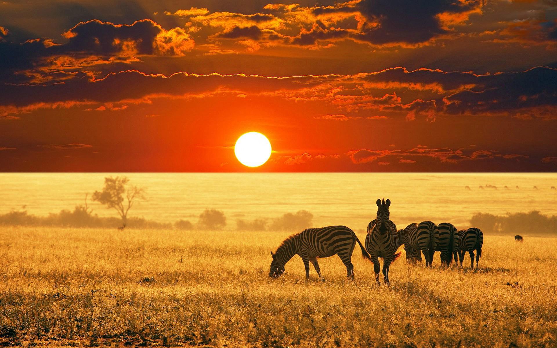 African Sunset Wallpapers Wallpaper Cave