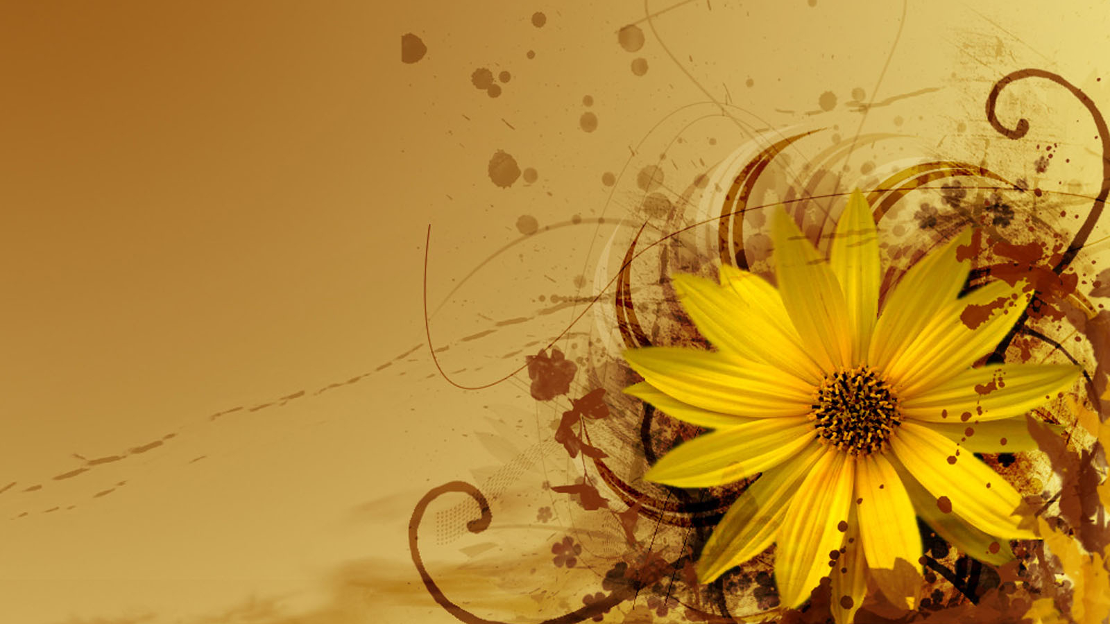 Windows 7 Flowers Wallpapers Wallpaper Cave