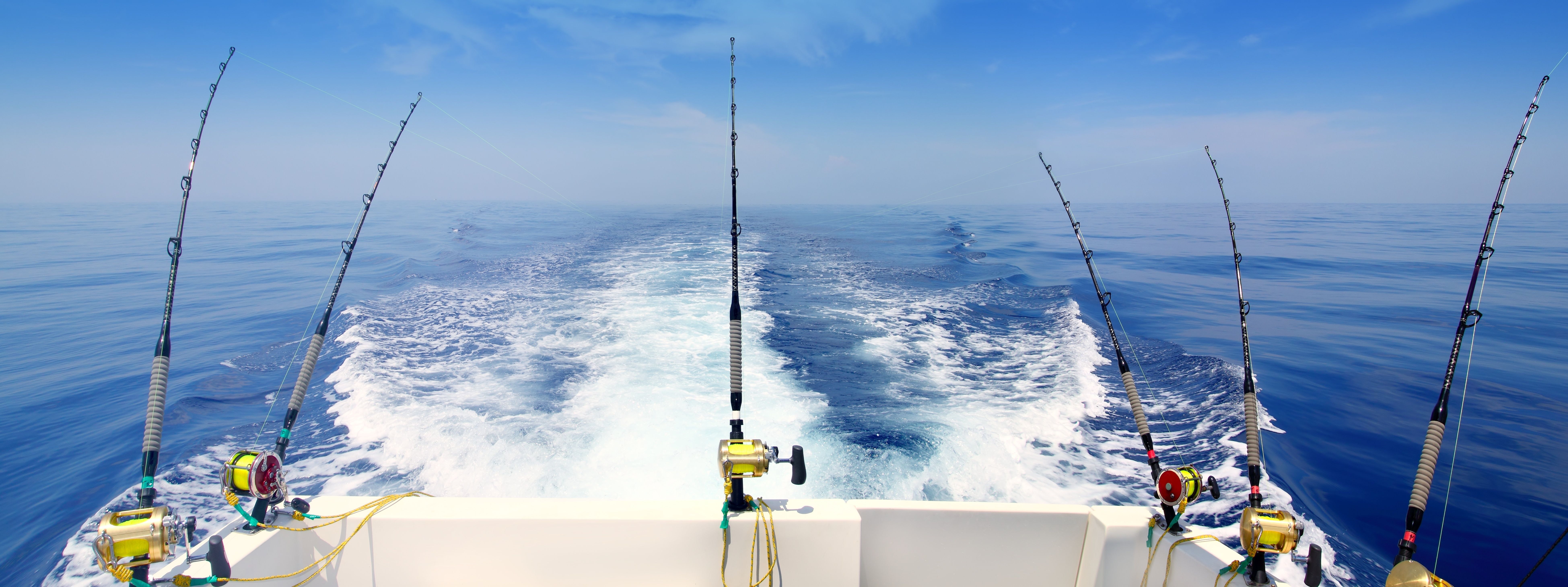 Deep Sea Fishing Wallpapers Wallpaper Cave