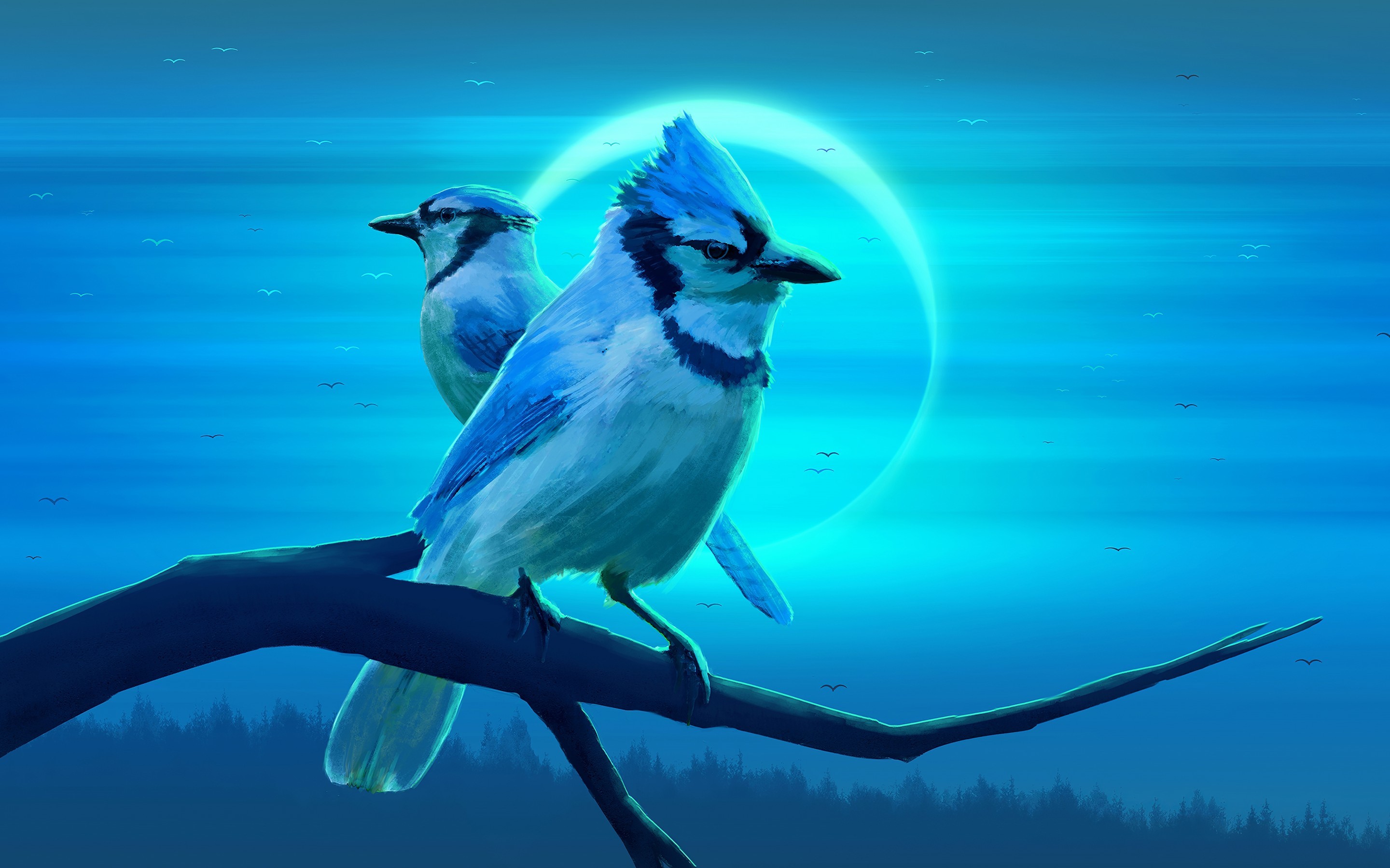 Blue Jay Bird Wallpapers Wallpaper Cave