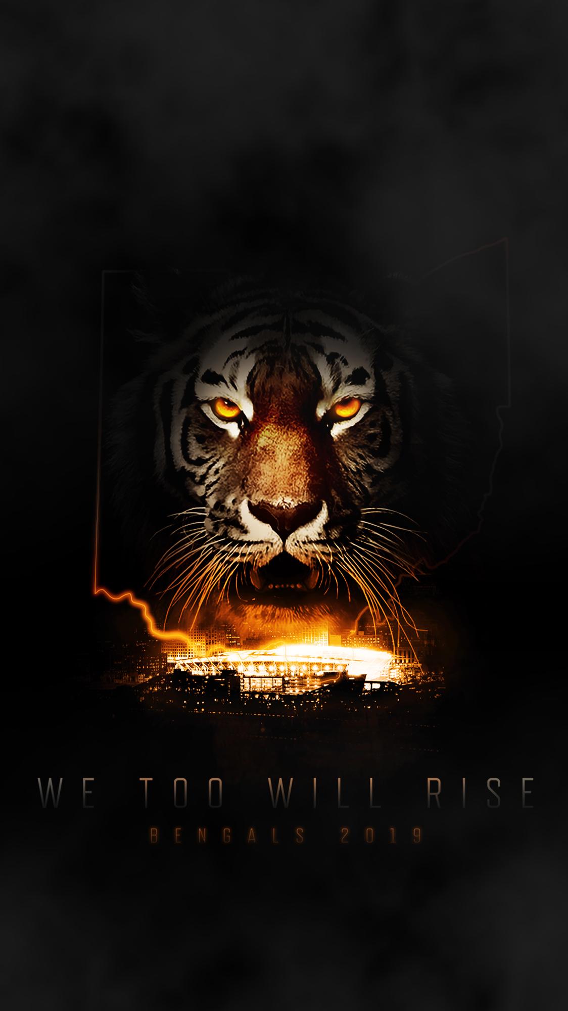 Cincinnati Bengals Wallpapers Wallpaper Cave
