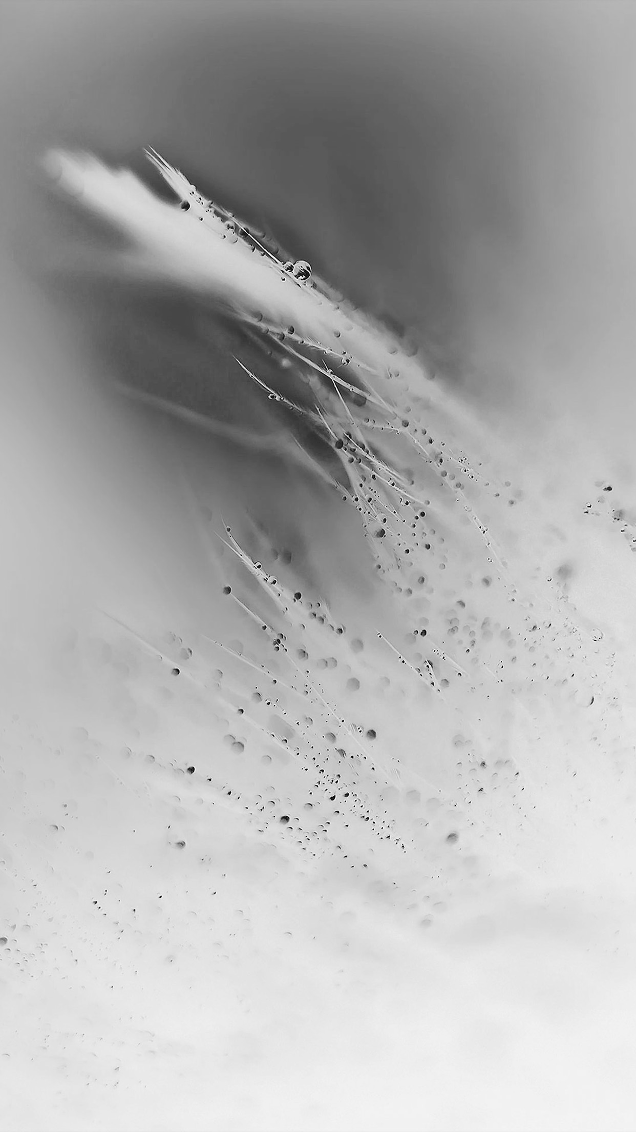 Soft White Wallpapers Wallpaper Cave