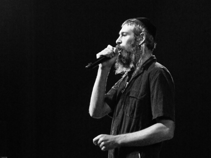 Matisyahu net worth 2021