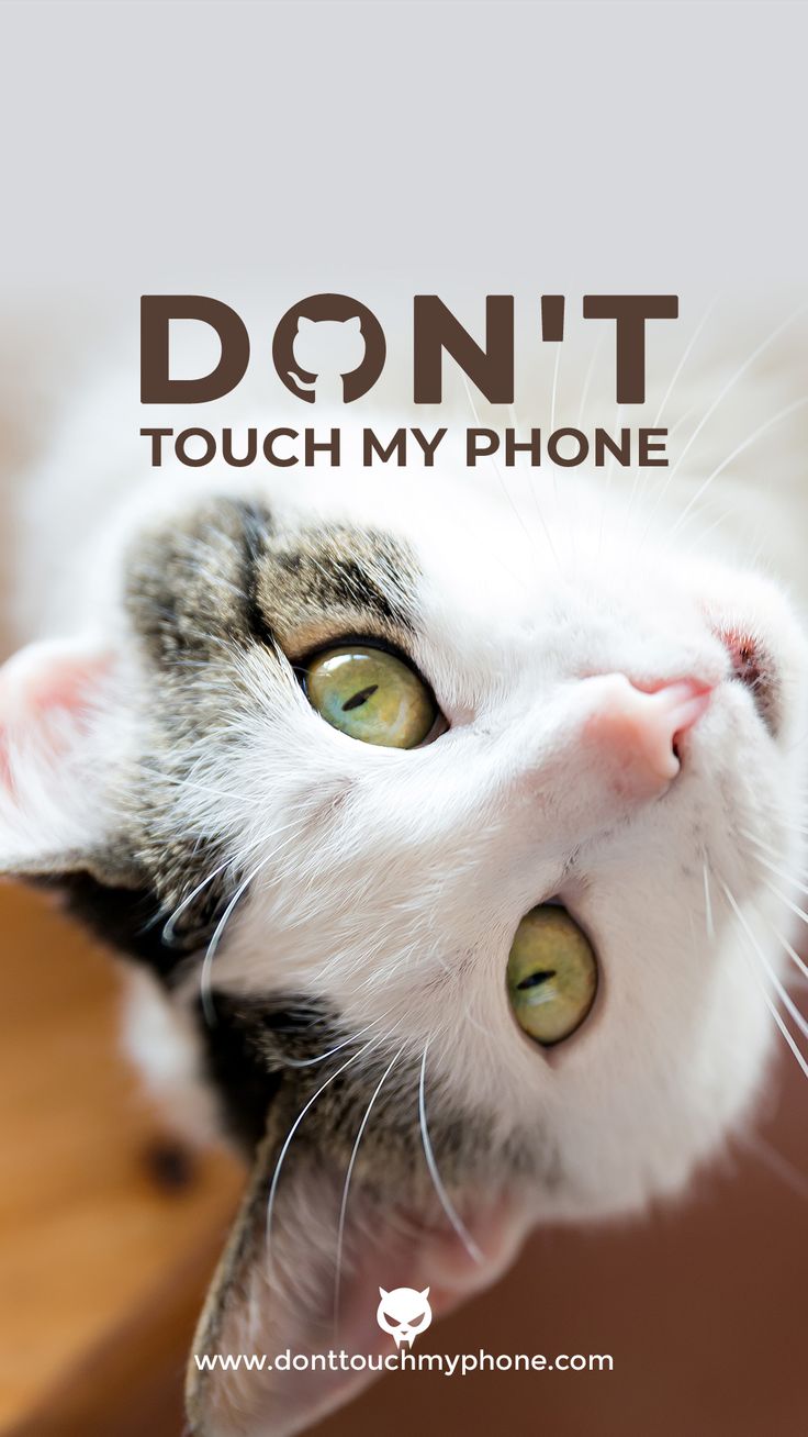 Cat Quotes Wallpapers Wallpaper Cave