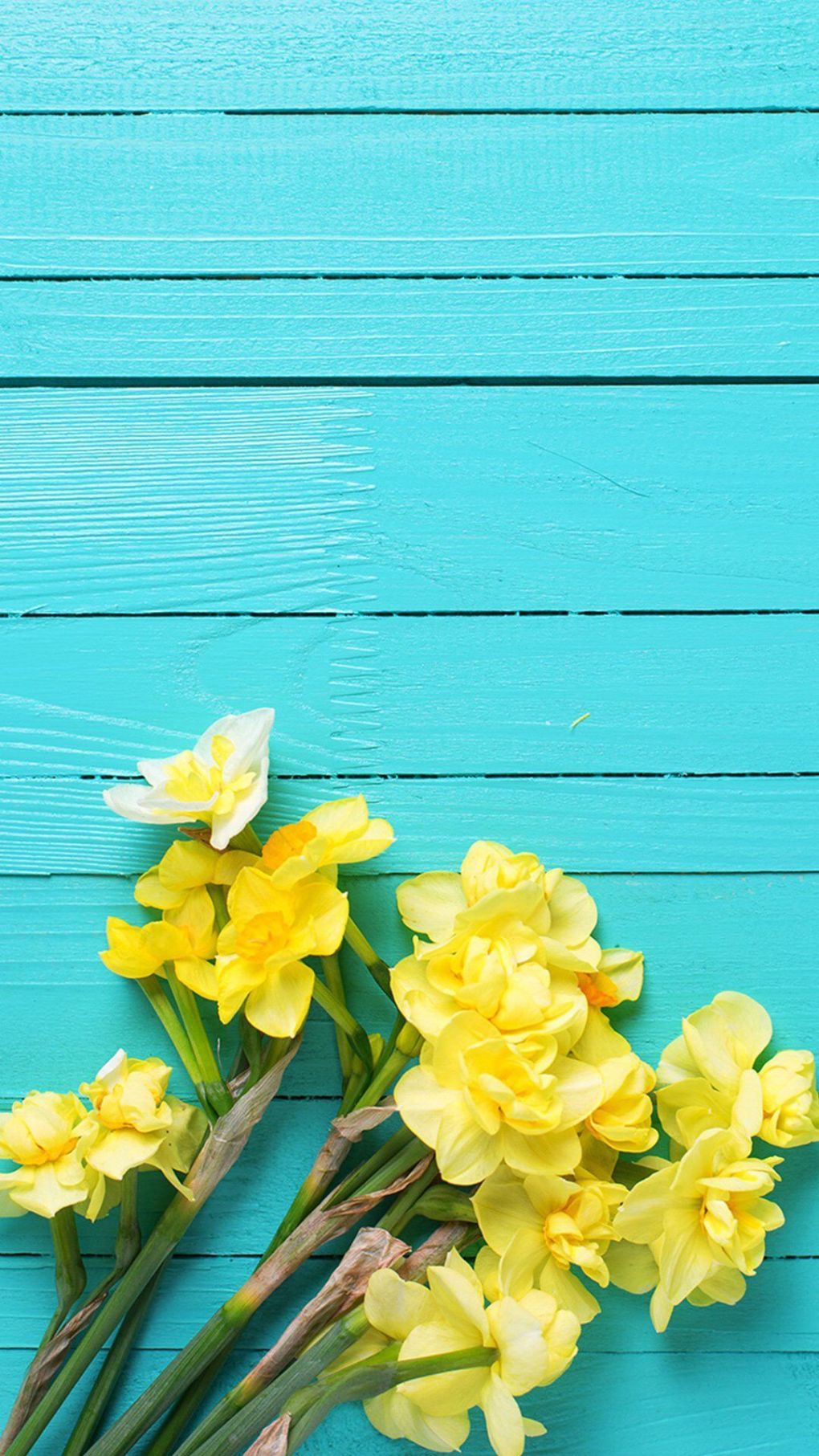 Yellow Flowers iPhone Wallpapers Wallpaper Cave