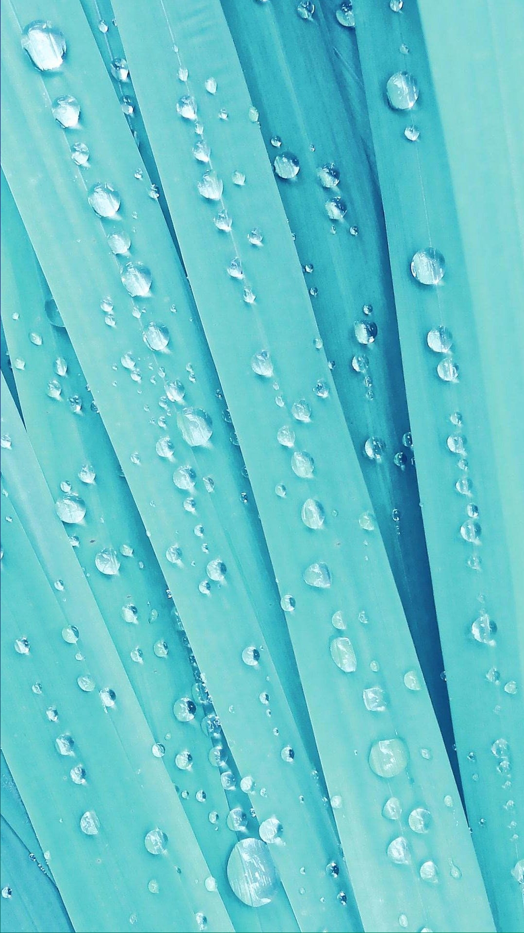 Baby Blue iPhone 11 Wallpapers Wallpaper Cave