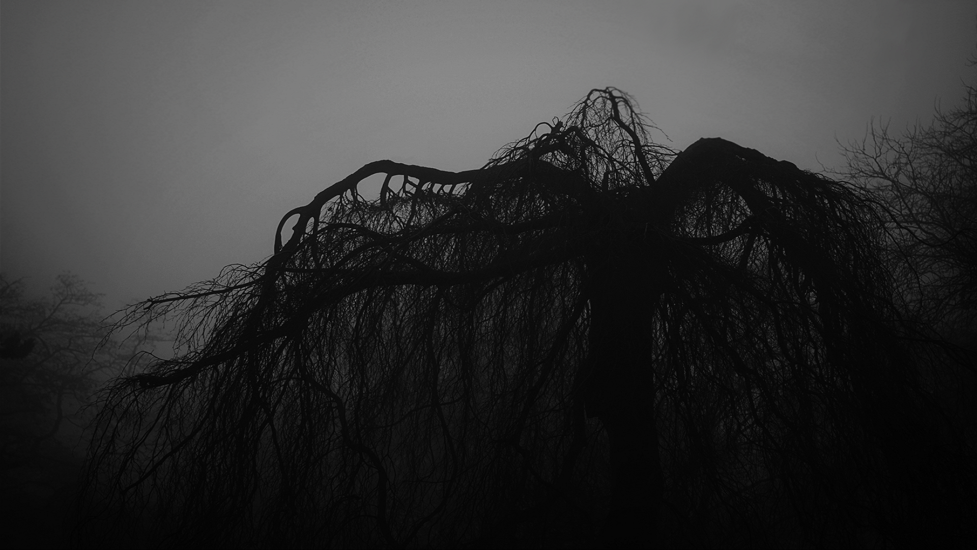 Black Mood Wallpapers Wallpaper Cave