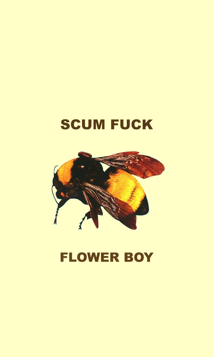 Flower Boy iPhone Wallpapers Wallpaper Cave