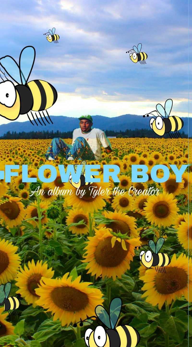 Flower Boy Tyler The Creator Iphone Wallpaper Best Flower Site
