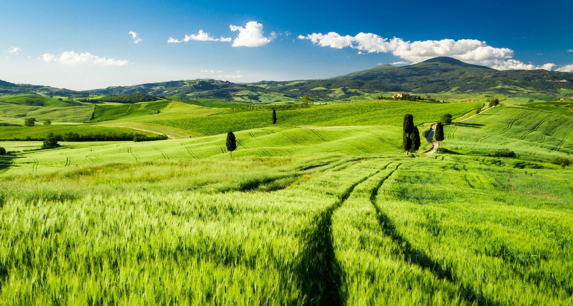 Windows Nature Wallpapers Wallpaper Cave