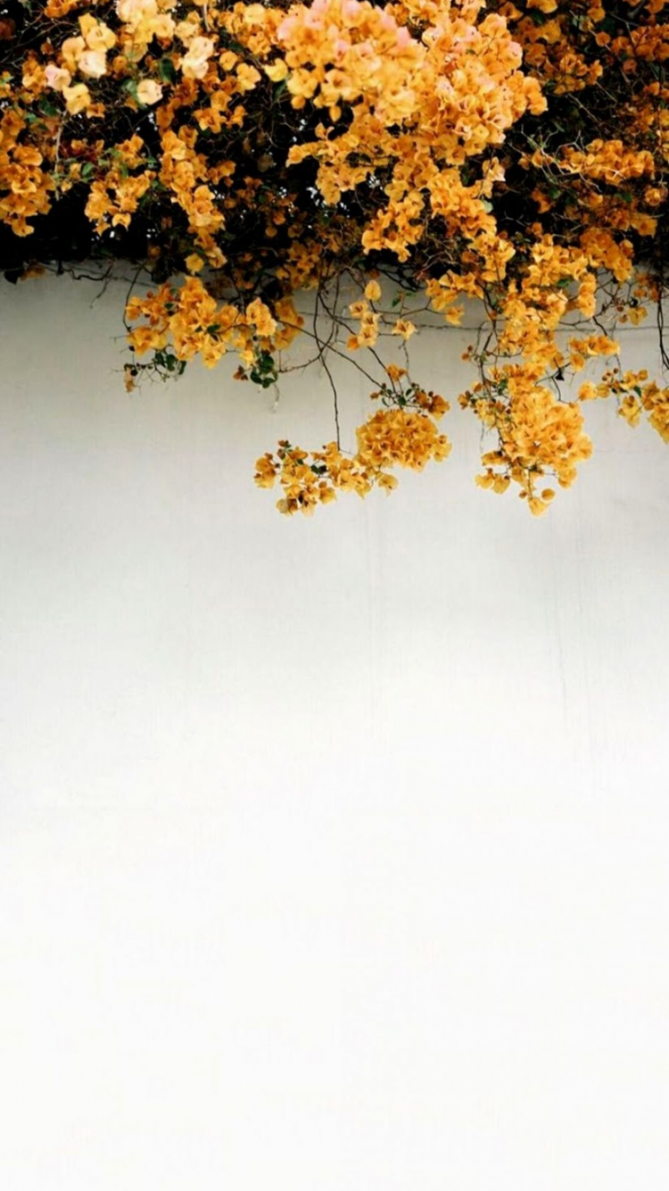 Yellow Theme Wallpapers Wallpaper Cave