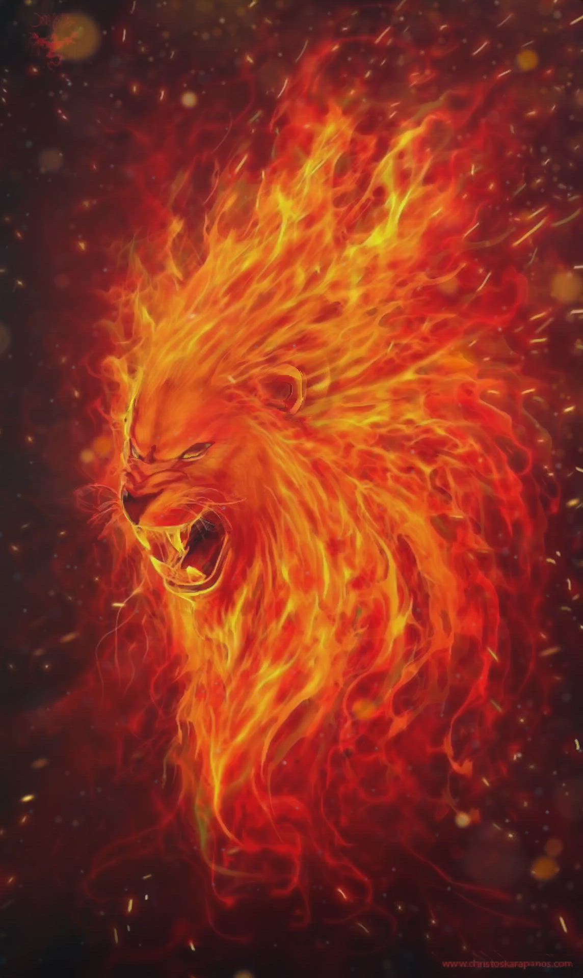 Lightning Lion Wallpapers Wallpaper Cave