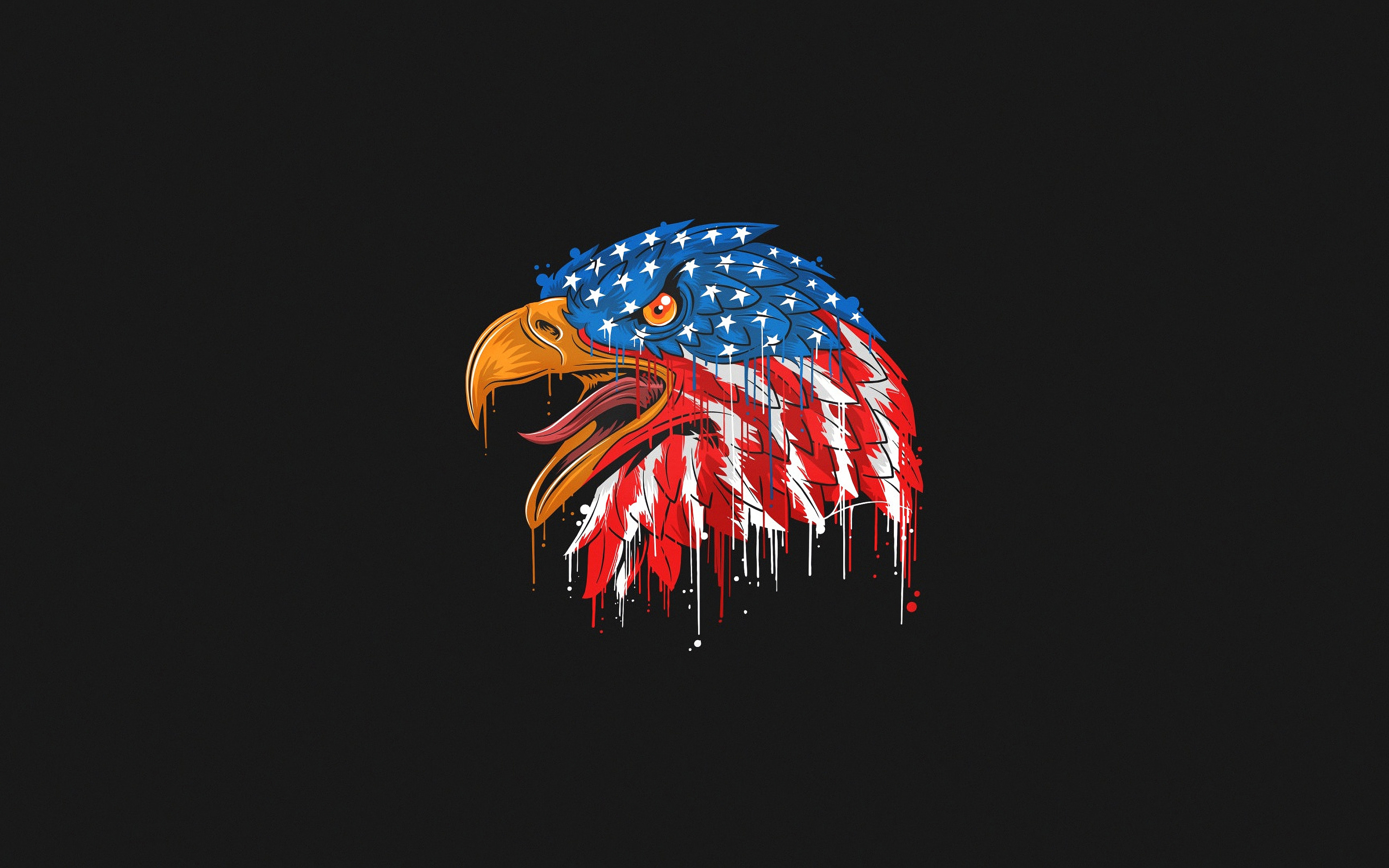 USA Eagle Wallpapers Wallpaper Cave