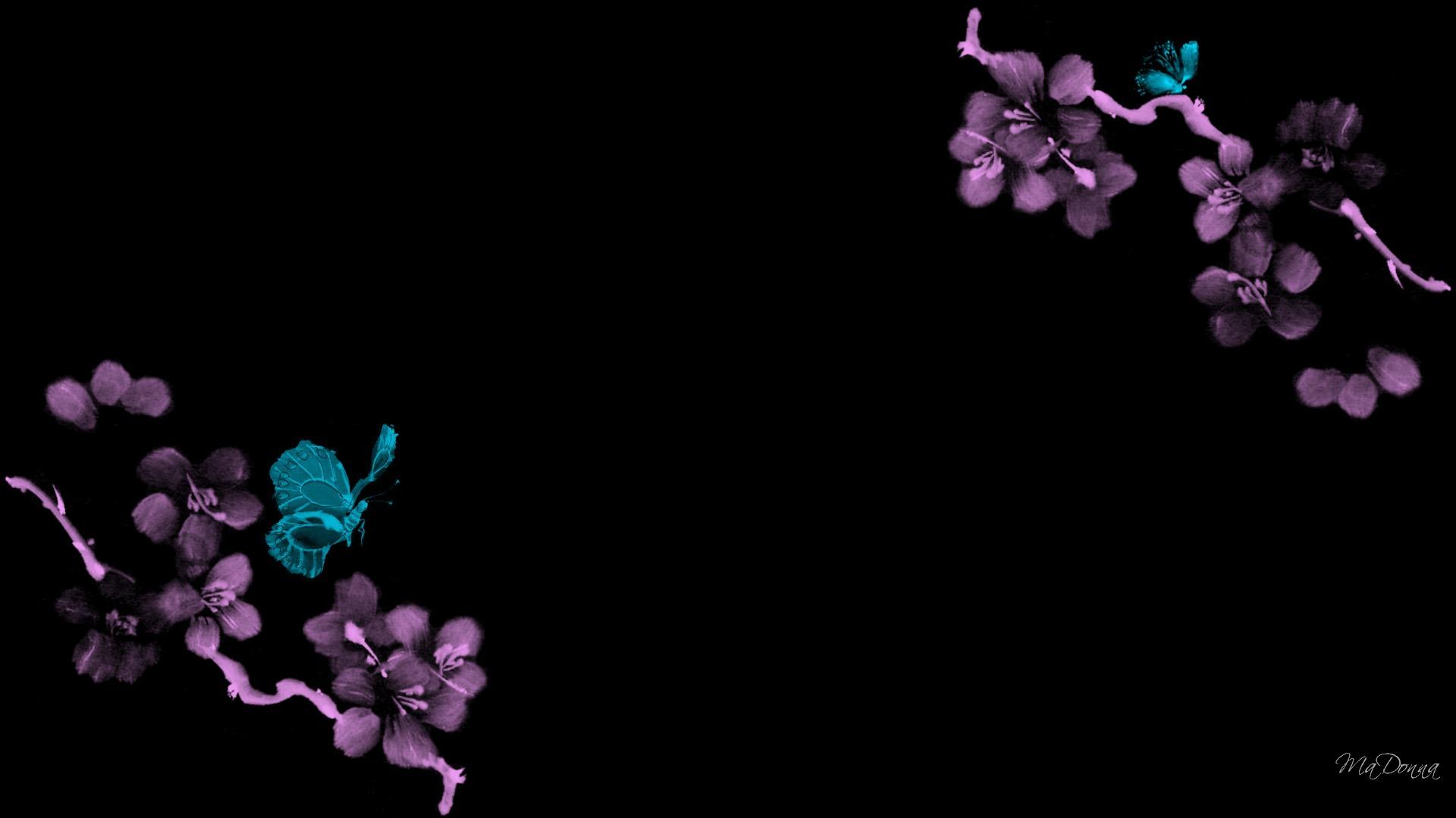 Black And White Sakura Wallpaper