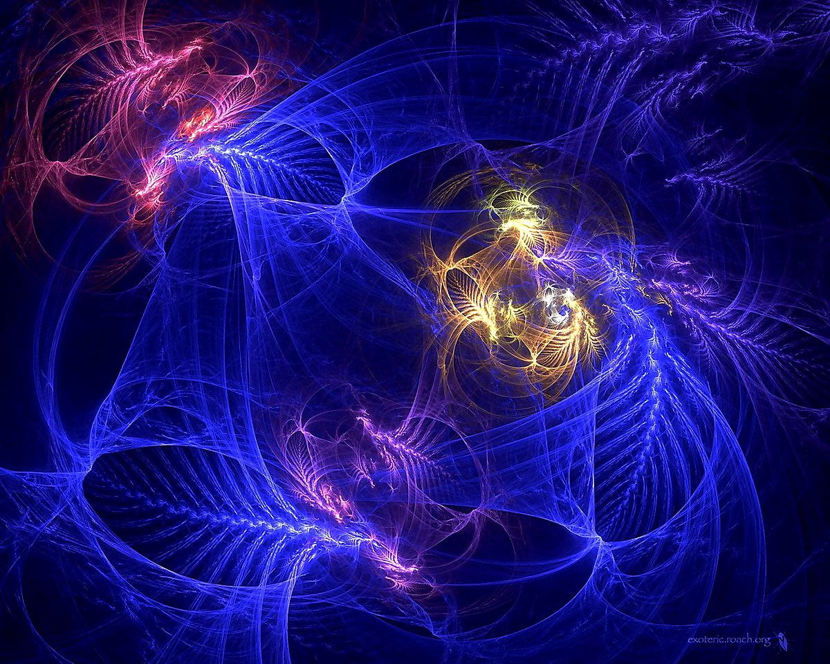 Electric Animals Wallpapers Wallpaper Cave