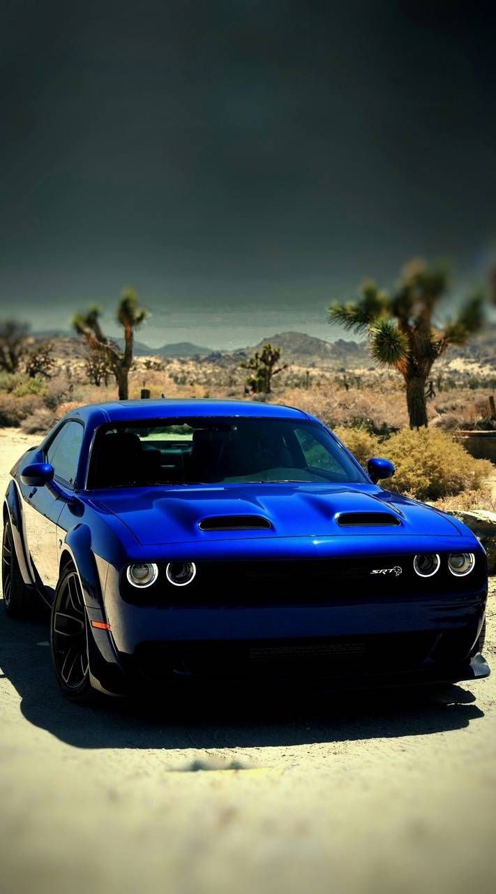 Blue Hellcat Wallpapers Wallpaper Cave