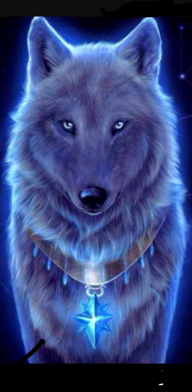 Cool Blue Wolf Wallpapers Wallpaper Cave