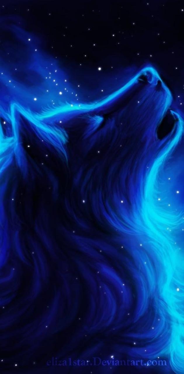 Cool Blue Wolf Wallpapers Wallpaper Cave