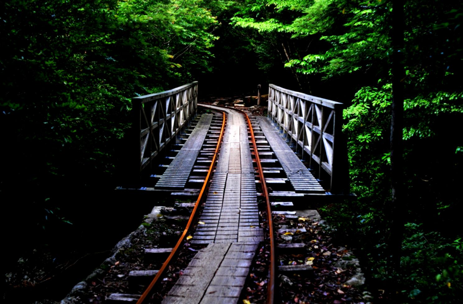 Japanese Forest Wallpapers Wallpaper Cave