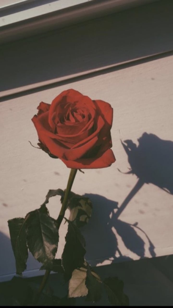 Red Retro Aesthetic Wallpapers Wallpaper Cave