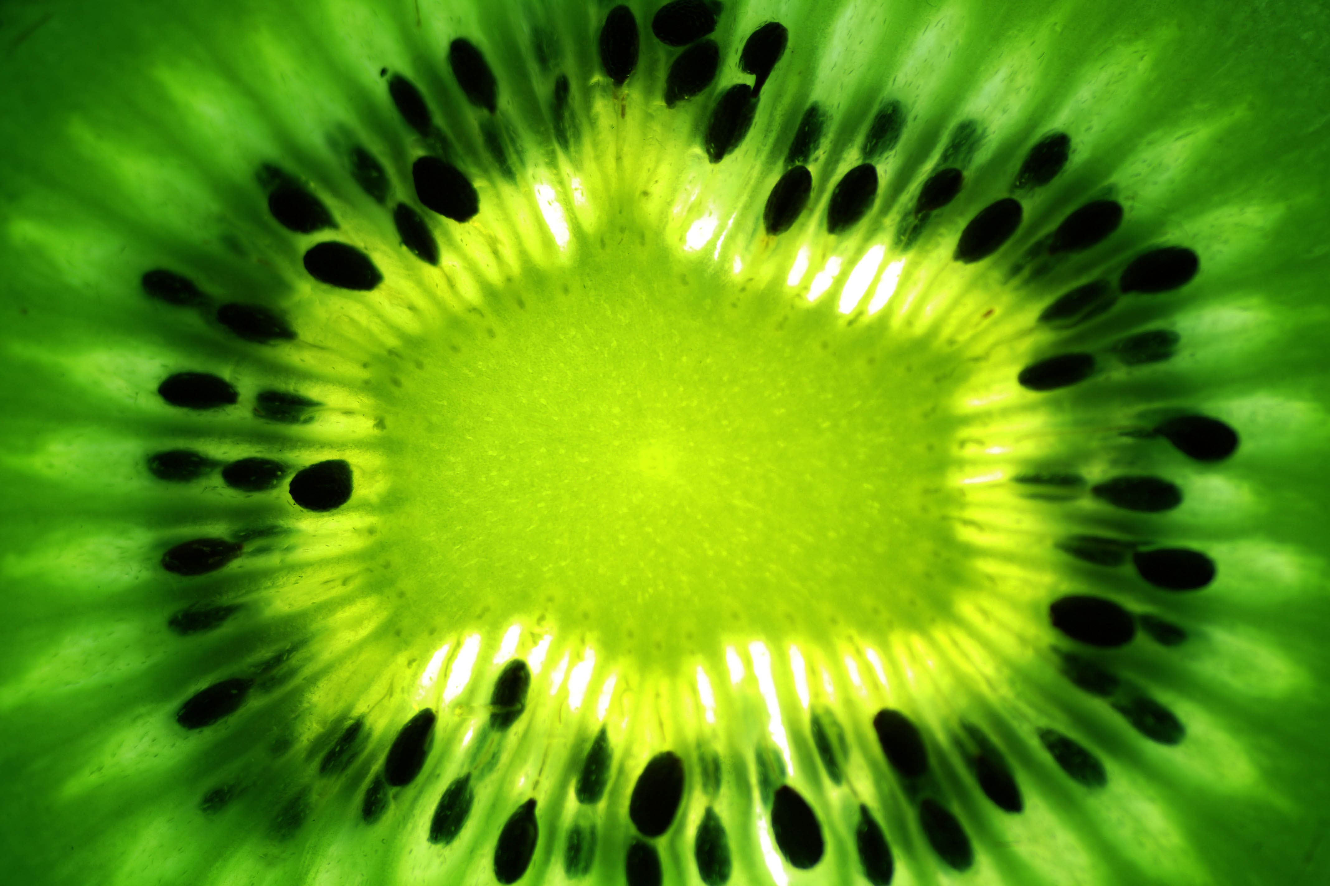 Kiwi Fruit Wallpapers Wallpaper Cave