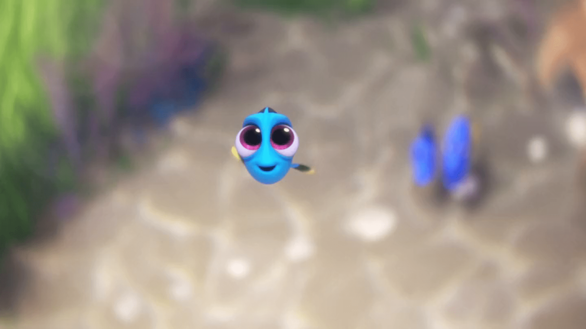Baby Dory Wallpapers Wallpaper Cave