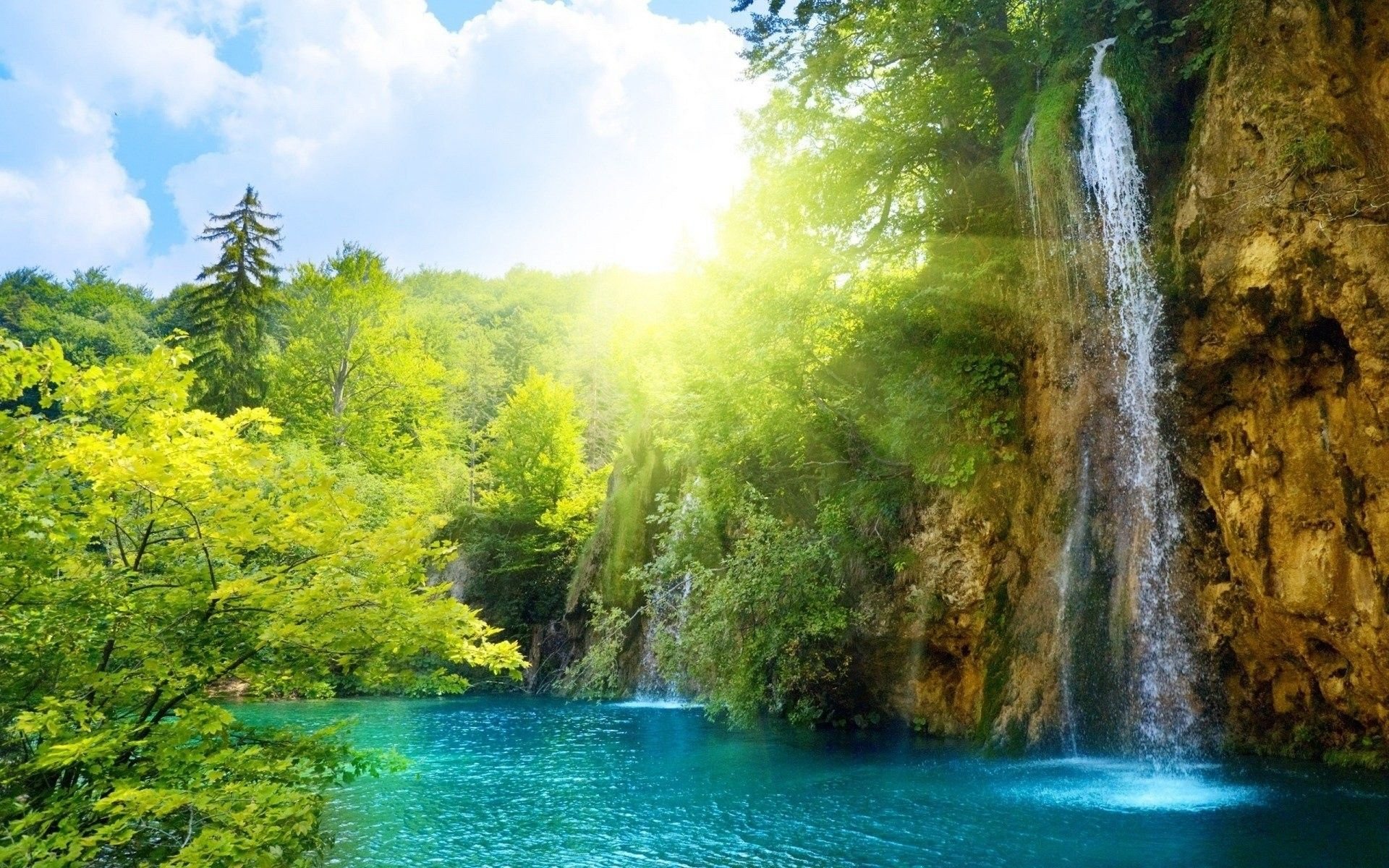 Vibrant Nature Wallpaper
