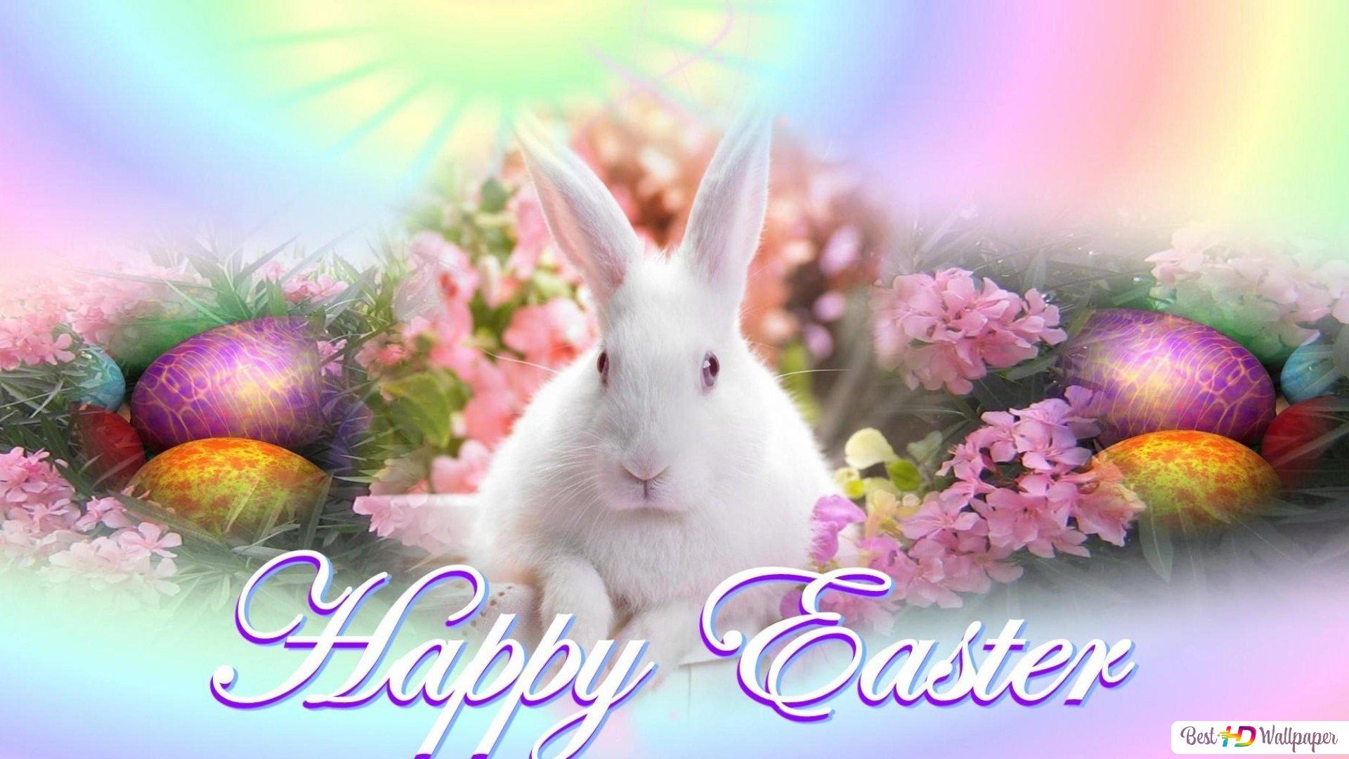 Rainbow Bunny Wallpapers Wallpaper Cave