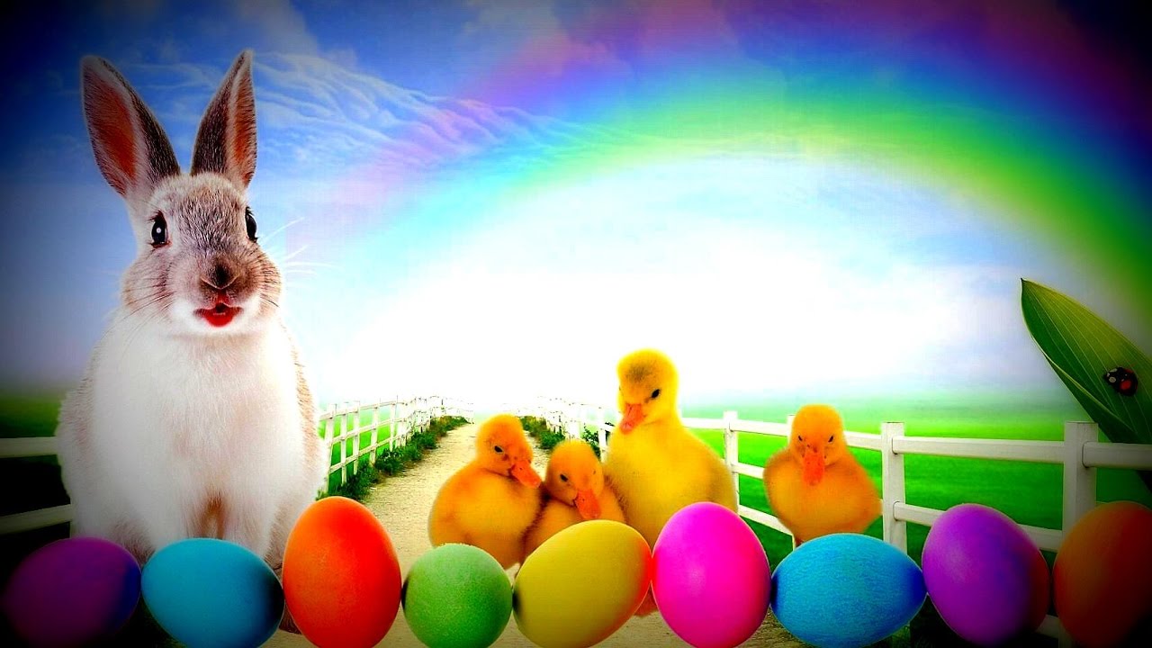 Rainbow Bunny Wallpapers Wallpaper Cave