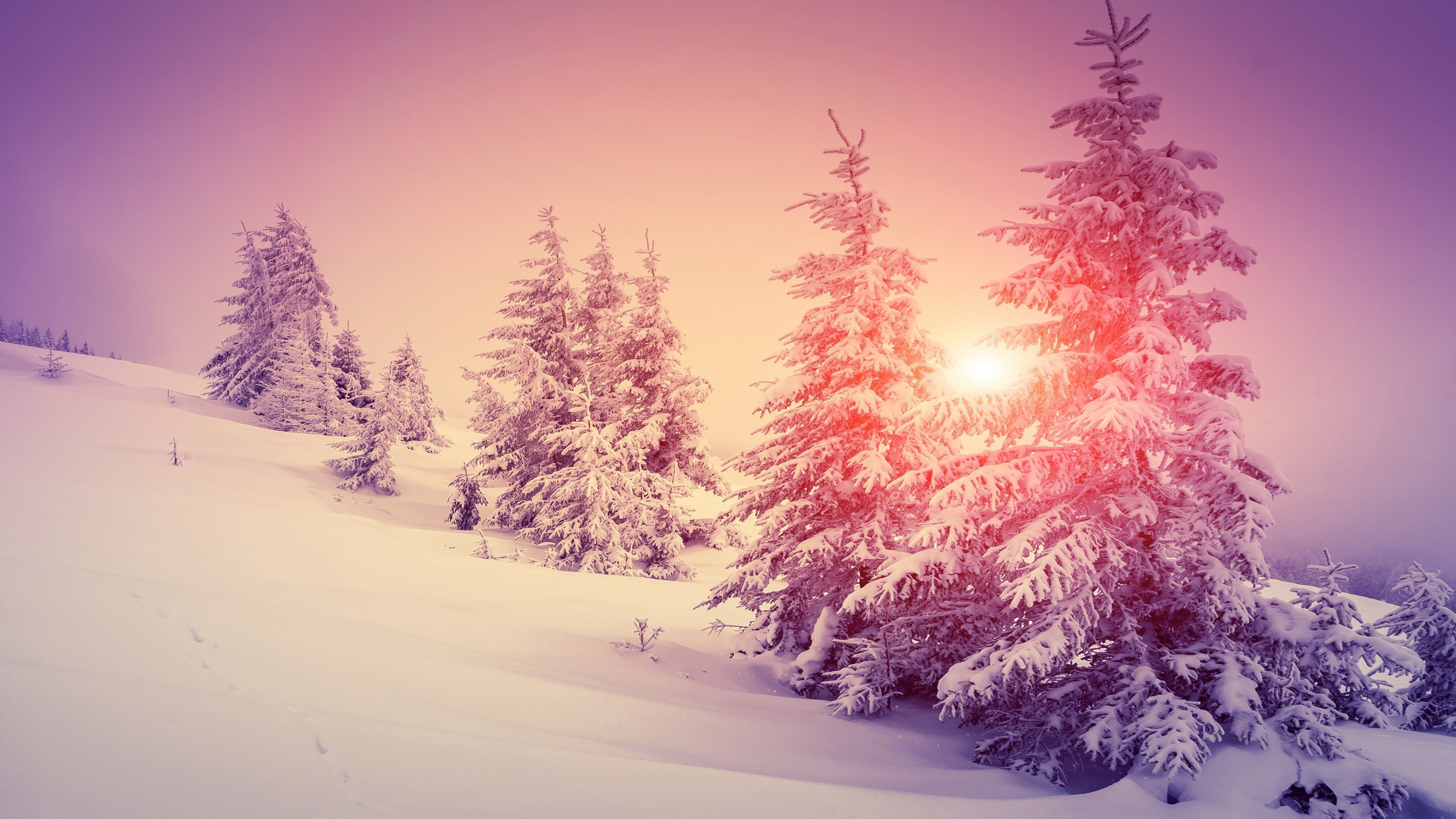 Cute Winter Pink Wallpapers Wallpaper Cave