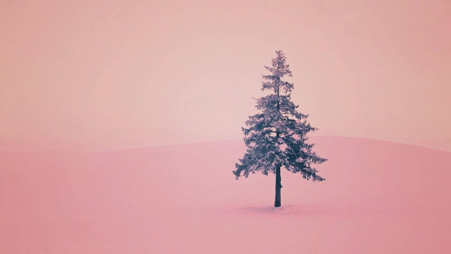 Cute Winter Pink Wallpapers Wallpaper Cave