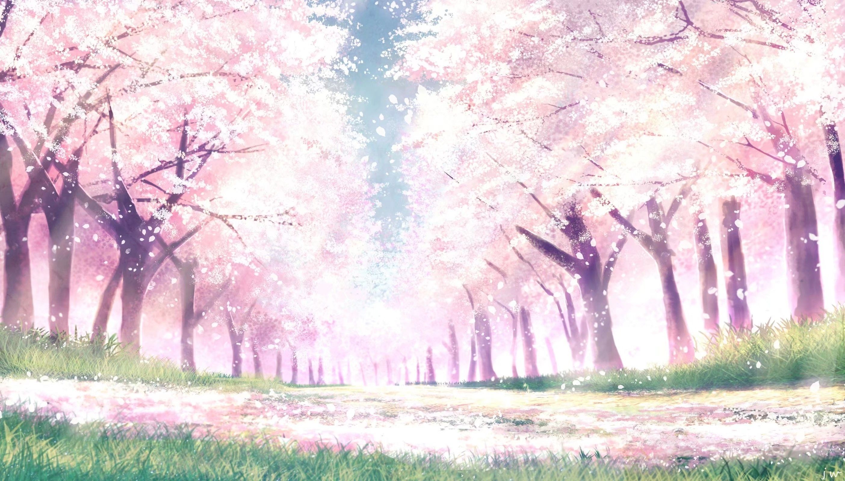 Anime Spring Season Street Wallpapers Wallpaper Cave