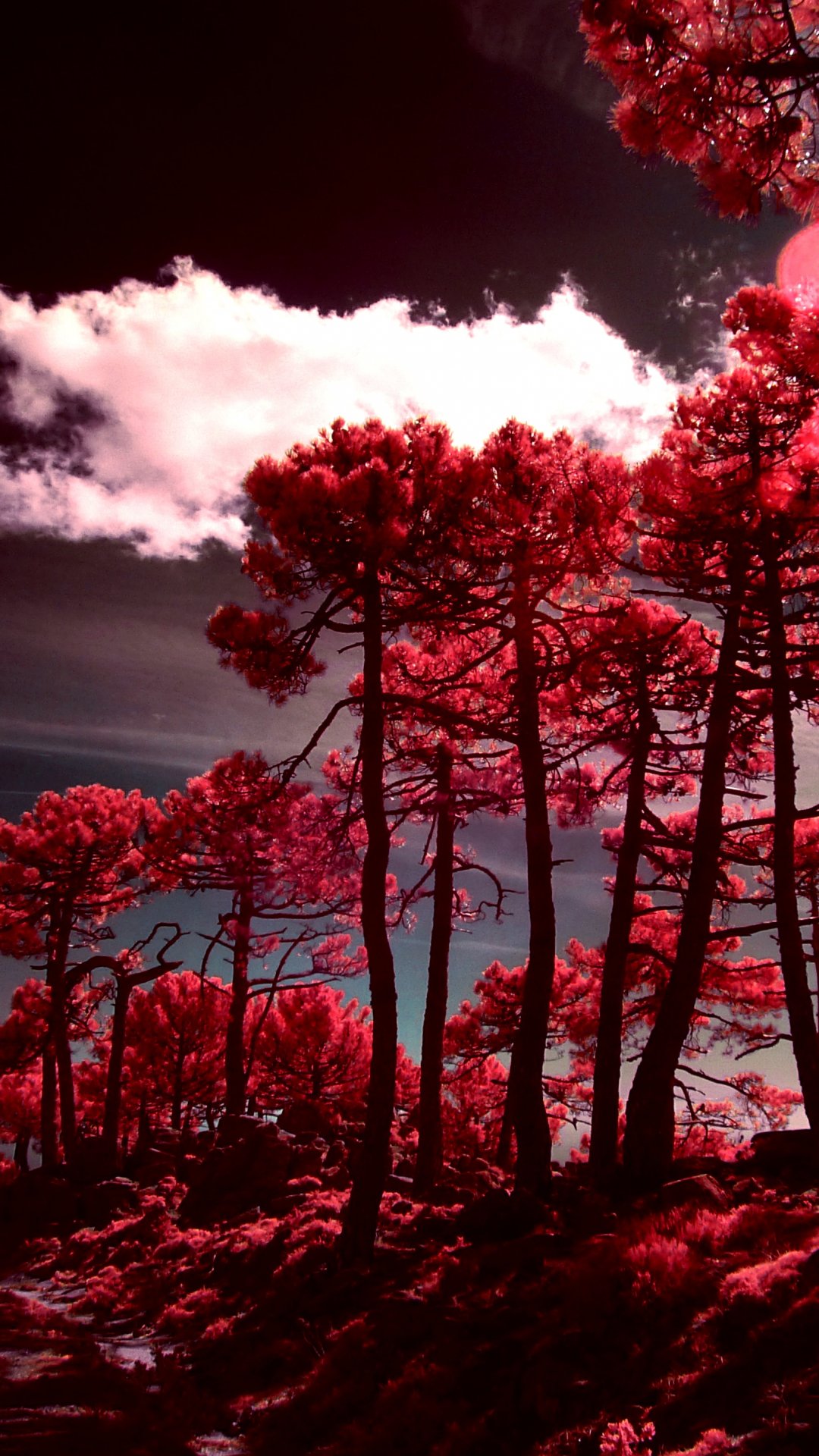 Cool iPhone 13 Wallpapers Wallpaper Cave