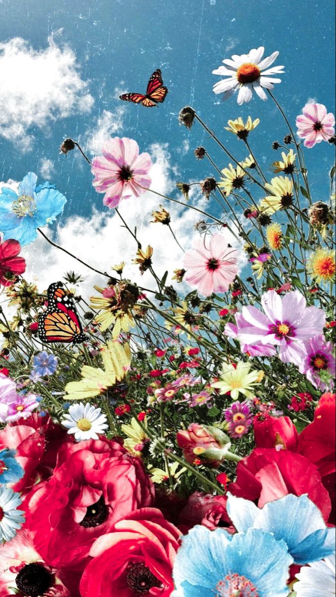 Spring Flowers Mobile Wallpapers Wallpaper Cave