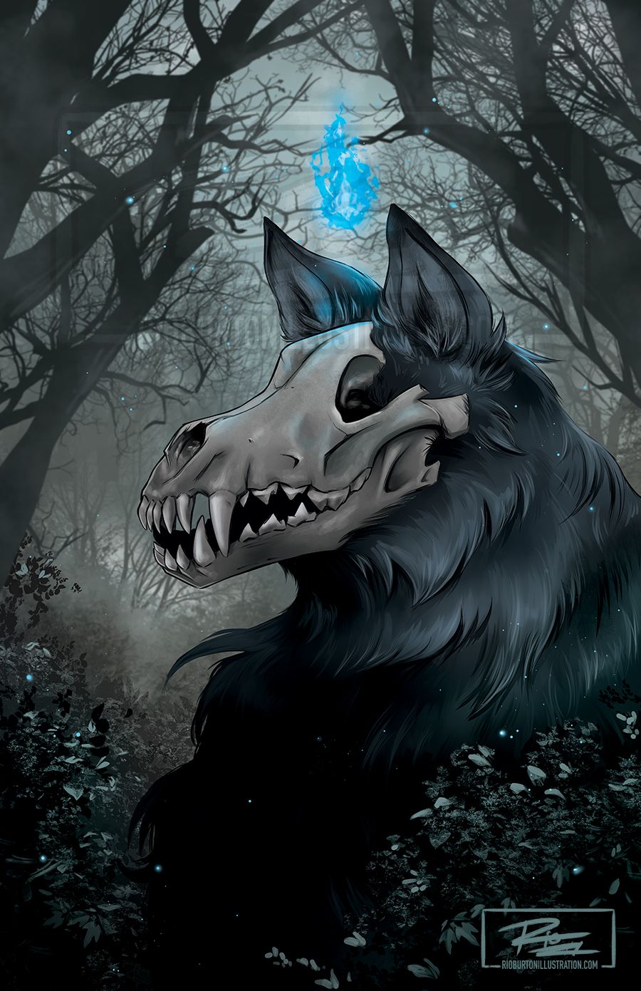 Wolf Skull Wallpapers Wallpaper Cave