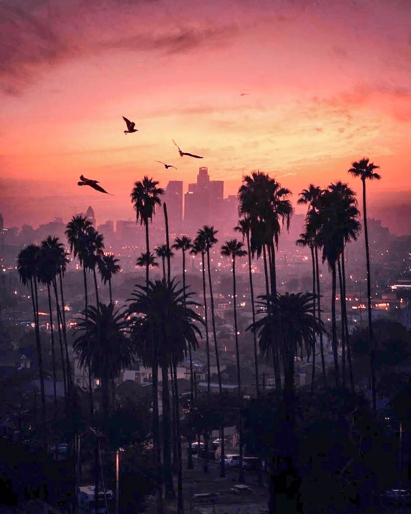 Los Angeles Sunset Iphone Wallpaper