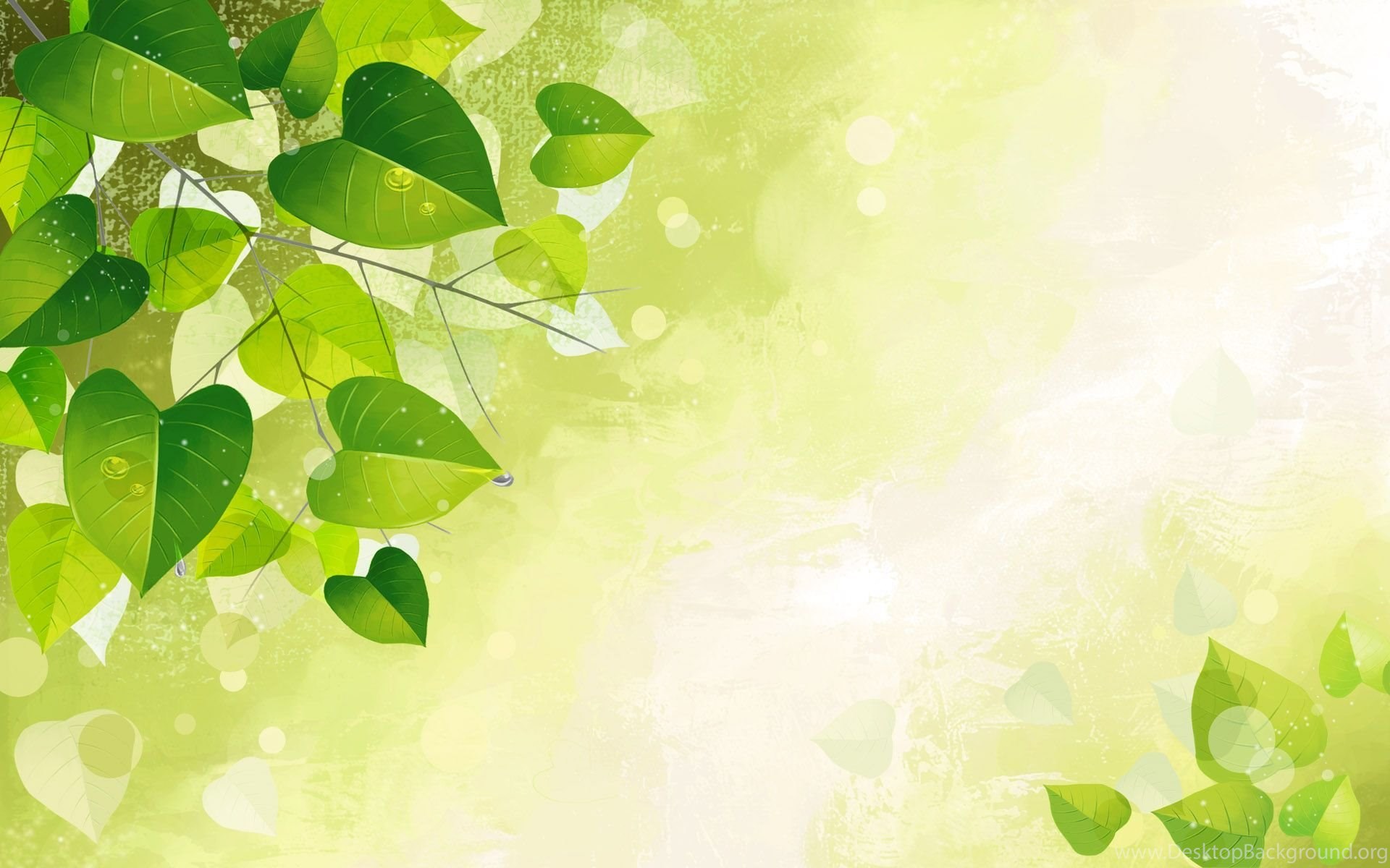 Green Spring Wallpapers Wallpaper Cave