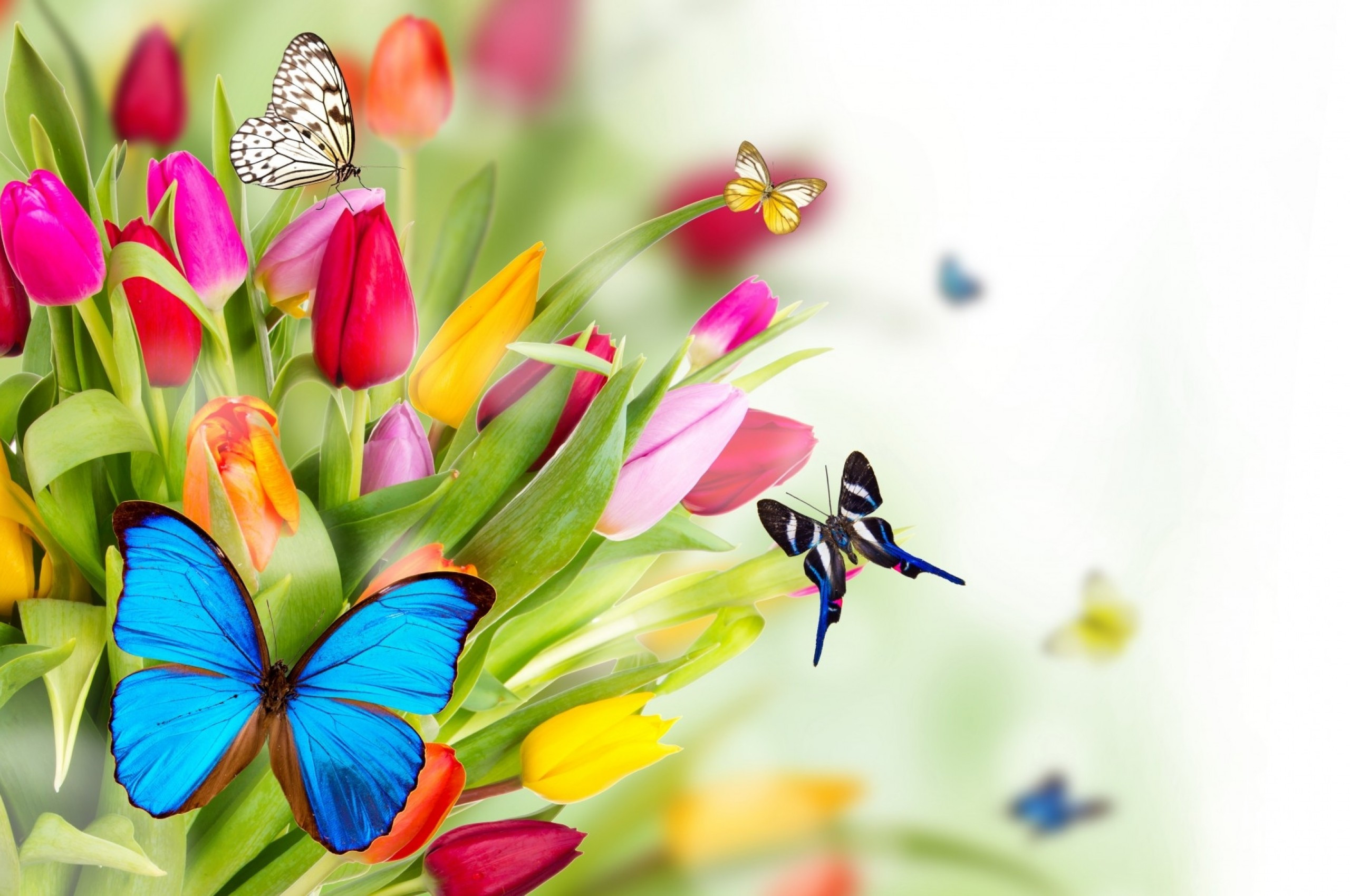 Spring Chromebook Wallpapers Wallpaper Cave