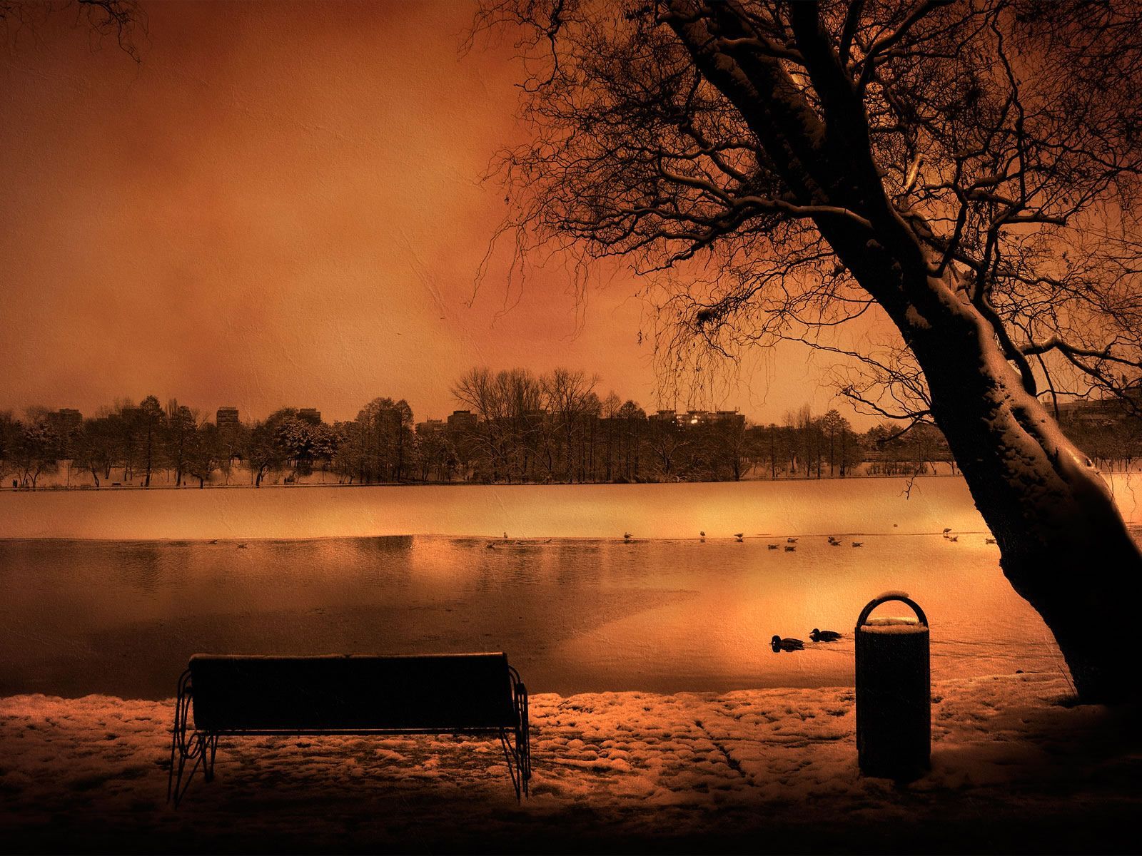 Brown Nature Wallpapers Wallpaper Cave