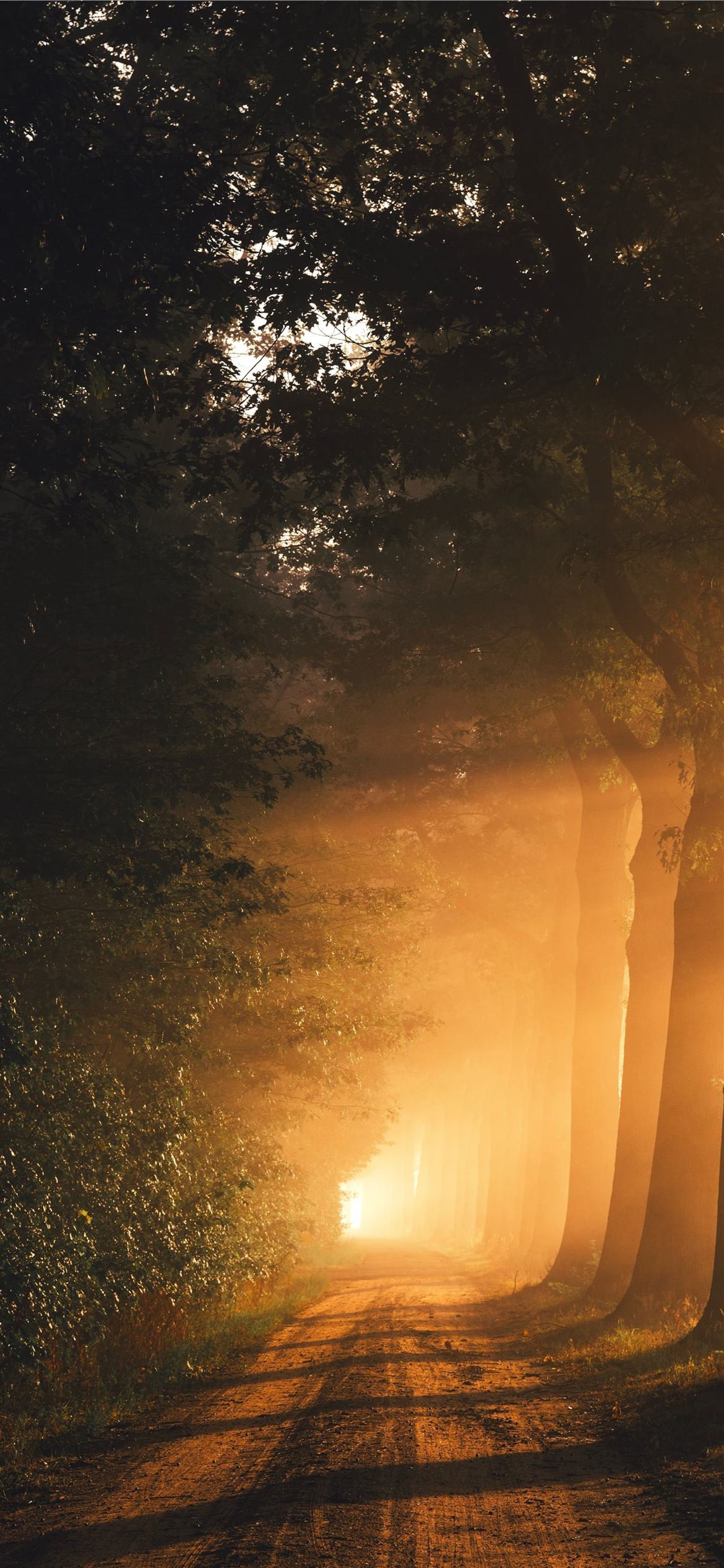 Brown Nature Wallpapers Wallpaper Cave