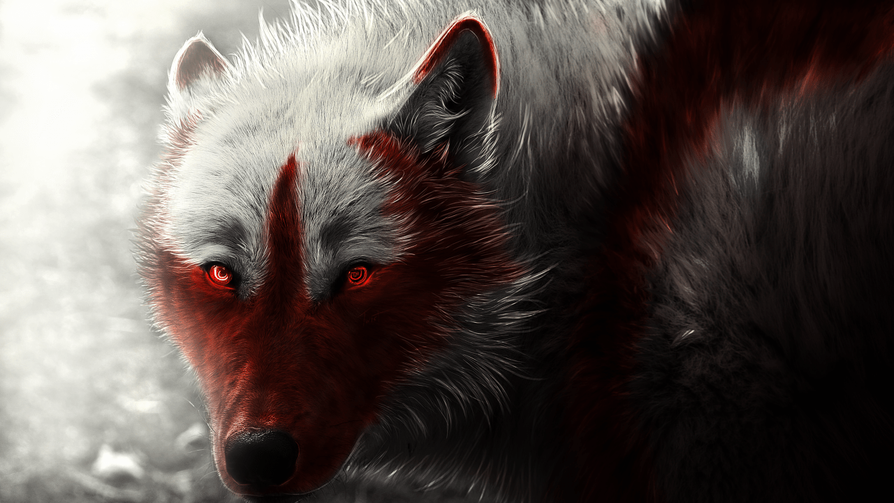 Red Eye Wolf Wallpapers Wallpaper Cave