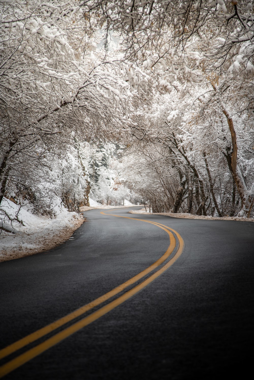 Flower Road Wallpapers Wallpaper Cave