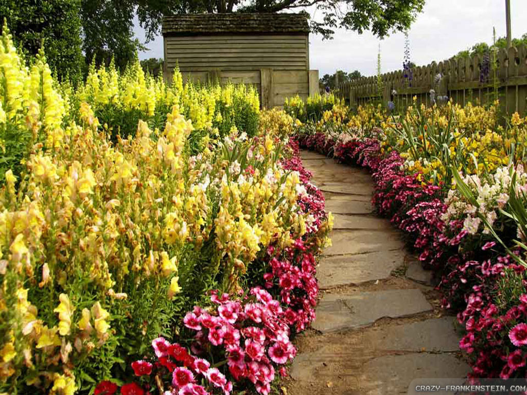 Flower Road Wallpapers Wallpaper Cave