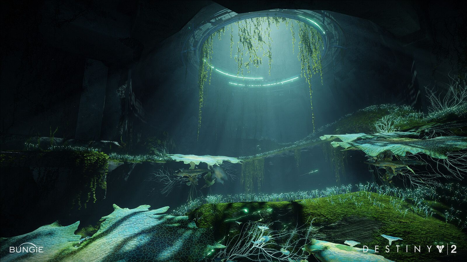 Destiny Black Garden Wallpapers Wallpaper Cave