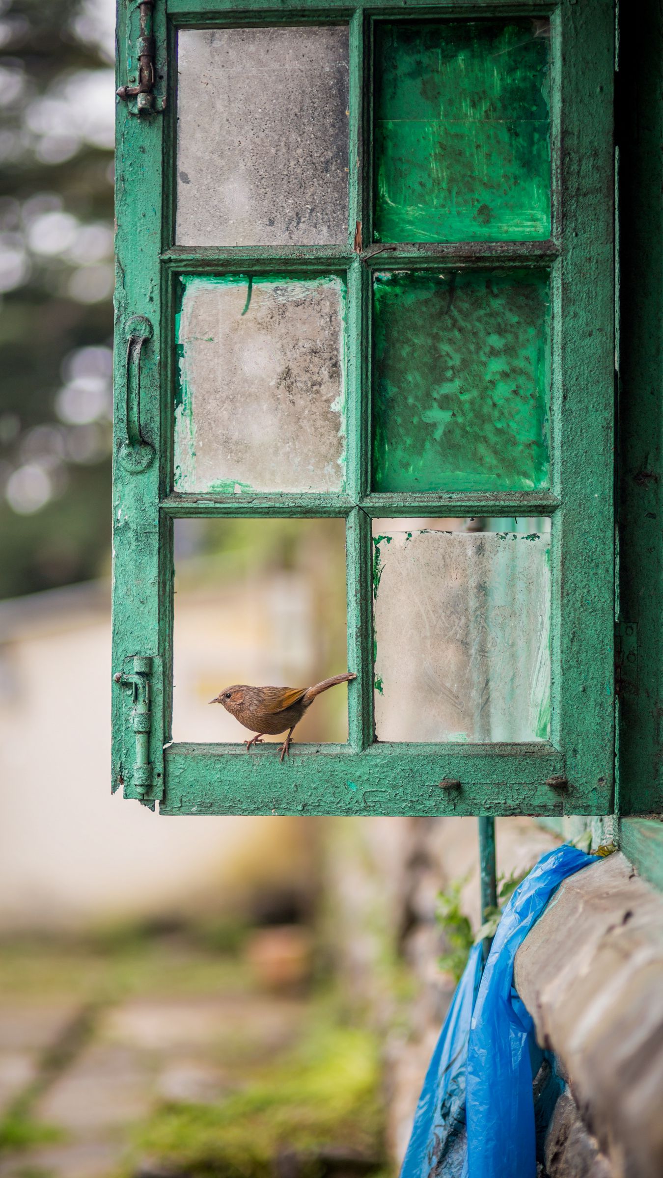 Window Frame Wallpapers Wallpaper Cave