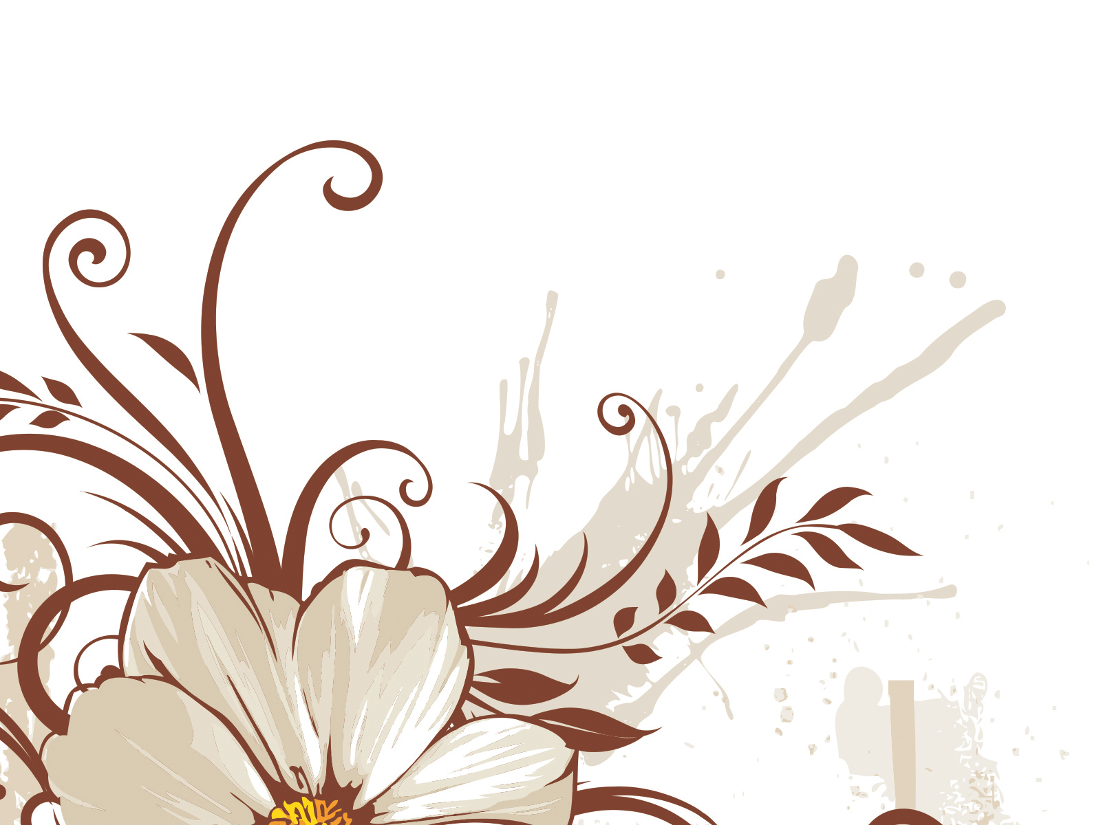 Brown Flower Wallpapers Wallpaper Cave