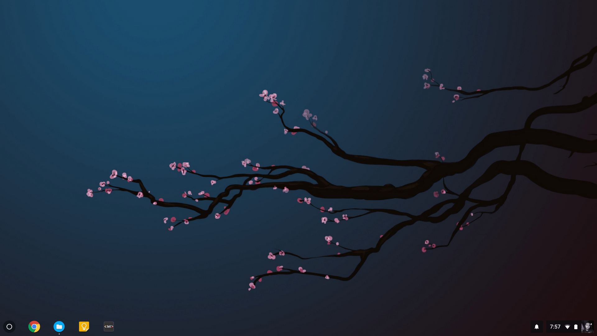 Acer Chromebook Wallpapers Wallpaper Cave