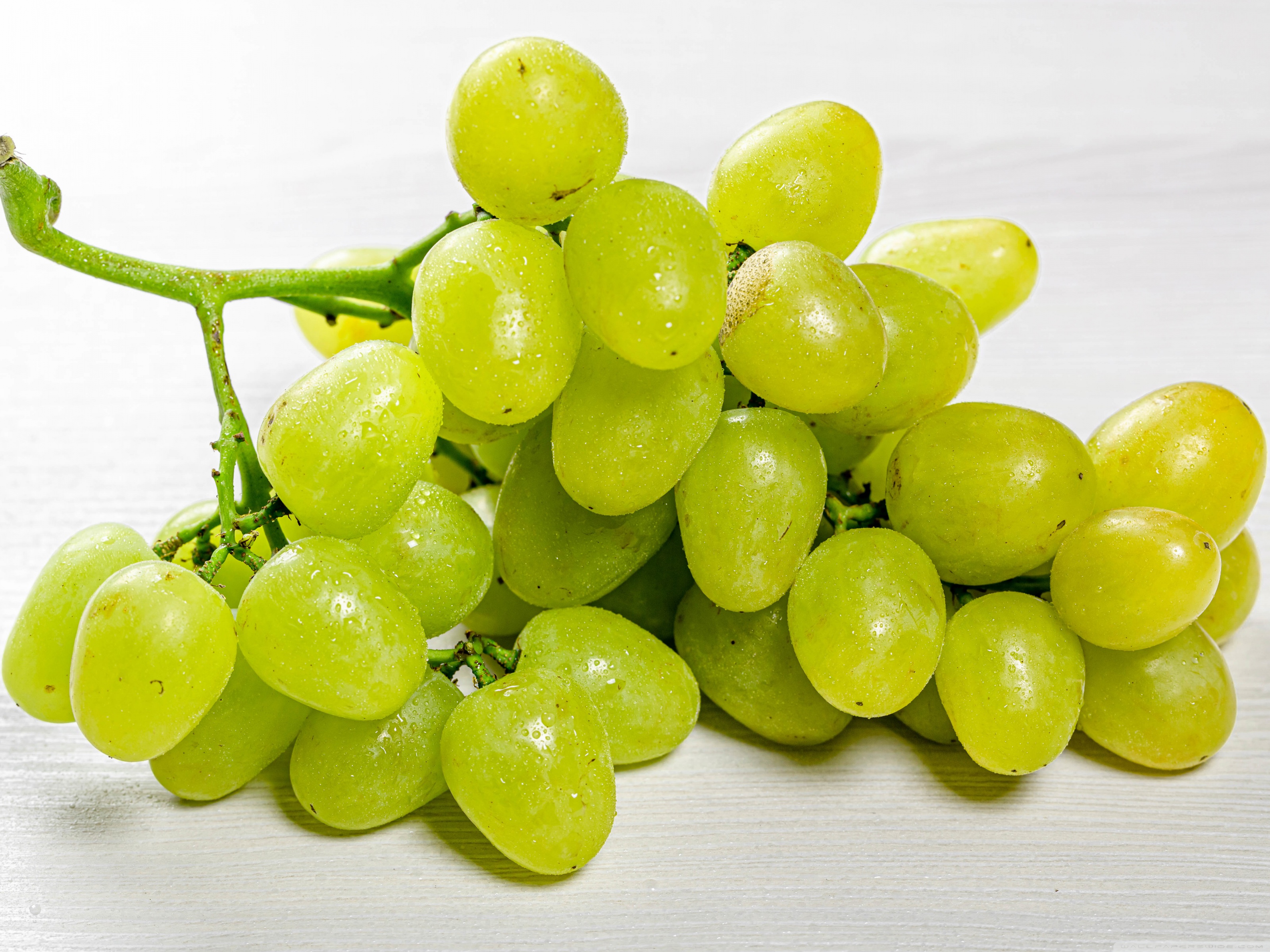 Green Grapes Wallpapers Wallpaper Cave